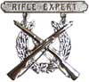 Badge Rifle Expert